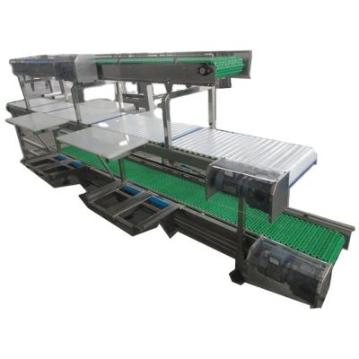 China Customized Slaughter Line Meat Boning And Cutting Conveyor For Meat Process Plant for sale