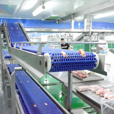 China Customized Conveyor New Design Beef Slaughterhouse Machine Deboning And Meat Slaughterhouse for sale