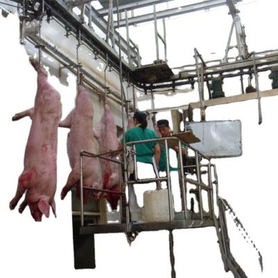 China Turnkey Solution Pig Slaughterhouse Equipment For Pig Slaughterhouse for sale