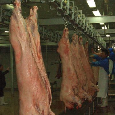 China Automatic Hydraulic Circuit Meat Processing Sow Slaughterhouse Machinery for Pork Cutting Butcher Slaughter House Line for sale