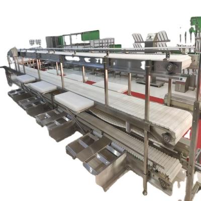 China Turnkey Solution Pig Meat Processing For Pig Slaughterhouse With Slaughterhouse Machine for sale