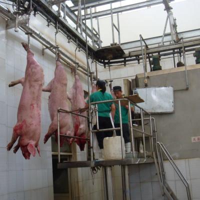 China Turnkey Solution Pig Slaughtering Line For Slaughterhouse Butchery Equipment for sale