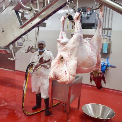 China Automatica 150 Head Per Day Goat Meat Slaughterhouse For Sheep Slaughterhouse Plant for sale