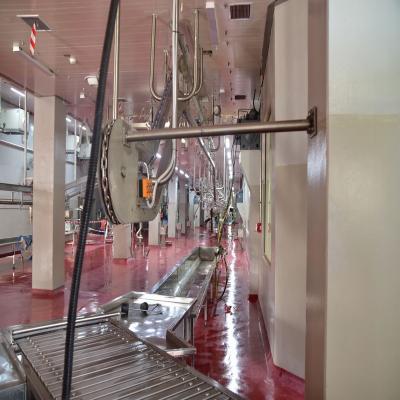 China Customized Slaughter Line Ram Slaughter House Machine For Ram Slaughterhouse With Cold Room for sale