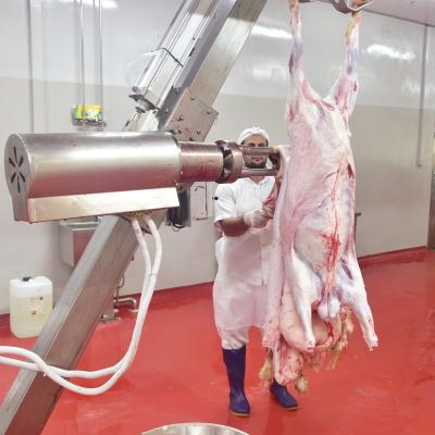 China Automatica 150 Head Per Hour Goat Slaughterhouse Equipment For Slaughterhouse for sale