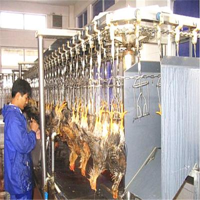 China Customized Slaughtering Line Broiler Chicken Slaughtering With Slaughtering Machinery Equipment Broiler Factory for sale