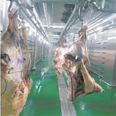 China For defrosting frozen meat at fresh frozen meat thawing and defrosting equipment for meat processing factory for sale