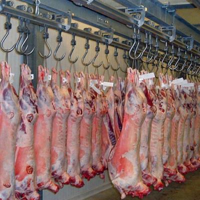 China Prechilling Machine Cold And Defrosting Room For Beef Slaughterhouse for sale