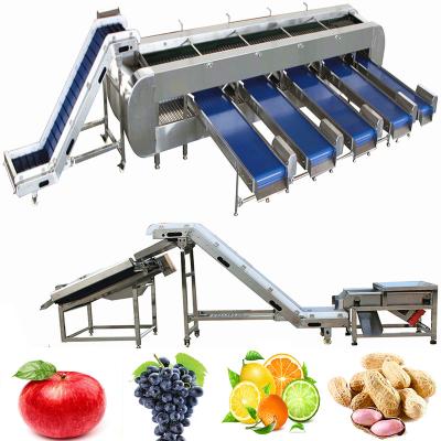 China Vegetable Fruit Washing Line Lemon Grape Processing Line For Apple Washing Machine With Lemons Oranges Sorting Equipment Dates Drying Machinery for sale