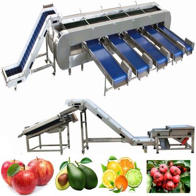 China Vegetable Fruit Washing Line Pear Lemon Fruit Processing Line For Grape Washing Machine With Lychee Equipment Avocado Orange Sorting Drying Machines for sale