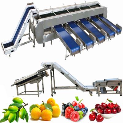 China Vegetable Fruit Washing Line Fruit Washing Machine For Apricot Processing Line With Blackberry Strawberry Cleaner Matching Equipment Machinery for sale