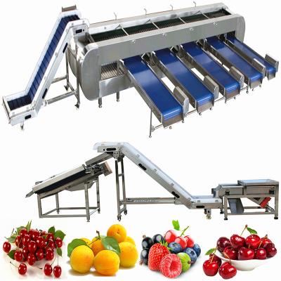 China Plum Cleaning Equipment Cherry Production Machinery Vegetable Fruit Washing Line For Cranberry Strawberry Peach Fruit Washing Processing Line Machine for sale