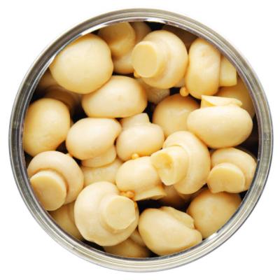 China Factory Price OEM Canned Label Customized Canned Whole Mushroom For All Prepared for sale