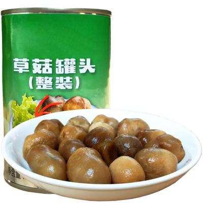 China Canned Chinese Canned Food Canned Straw Mushroom for sale