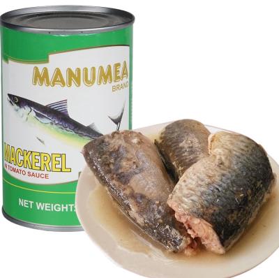 China Good Quality 425g Canned Chinses Canned Mackerel Fish In Oils For South America Market for sale