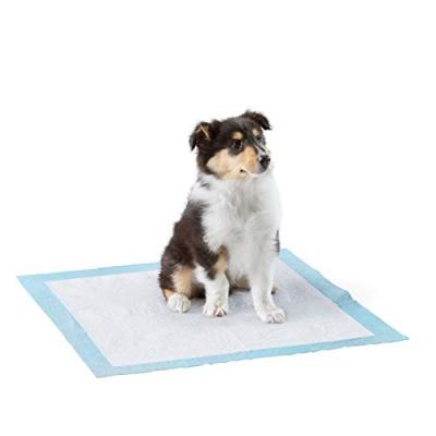 China Disposable Super Absorbent Dog Pee Pad Pet Mouse Pee Pads Puppy Odor And Puppy Urine Training Pads Viable Premium Quality for sale