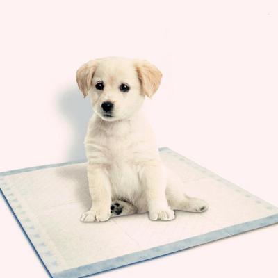 China China Manufacturer Good Quality Training Sustainable Pet Pads Training Pads For Dogs Heating Pet Pads for sale