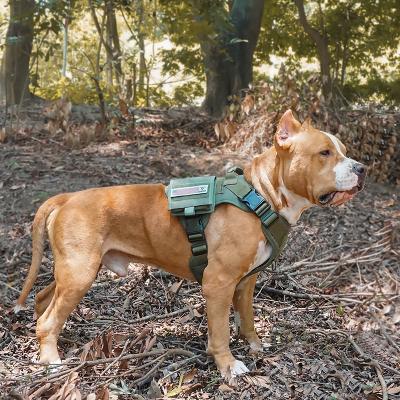 China Custom High Quality Large Pit Bull Training No Pull Military Oxford Dog Harness for sale