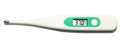 China Berufsprüfungs-Digital-Fieberthermometer mit 1-jähriger Garantie zu verkaufen