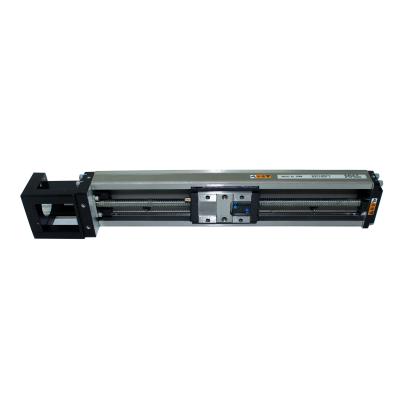 China Smooth Model Length SBR Linear Module Linear Motion Origin Motion Place Linear Guide Module for sale