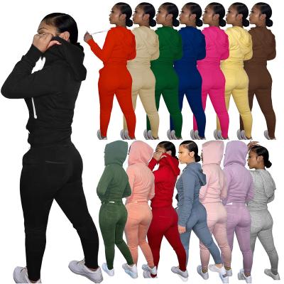 China 100% Breathable High Quality Polyester Tracksuit Set Women Sweatsuit Pullover Street Wear Street Wear Zipper Empty Hoodies for sale