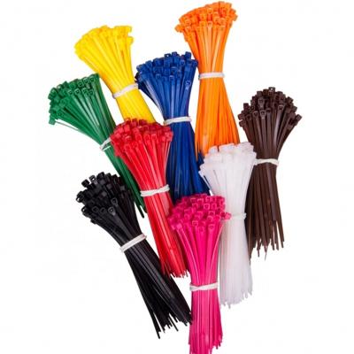 China Containment Wires Self Locking Nylon Cable Ties 3mm X 100mm 100 Pcs 4 Inch Fastening Zip Ties for sale