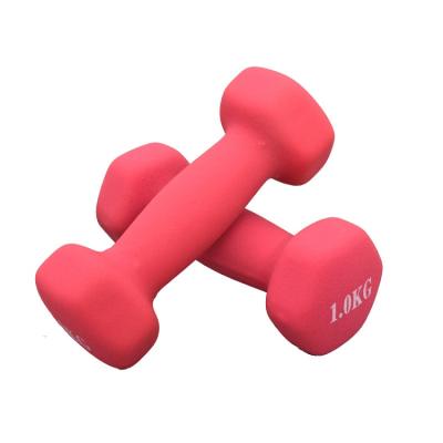 China Eco-friendly Hot Sale Neoprene Dumbbell Vinyl Dumbbell for sale