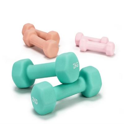 China Durable Colorful Neoprene Coated Dumbbell Set for sale