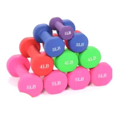 China Plastic Dip In Dumbbell Wholesale Hot Sale Custom Neoprene Polyurethane Vinyl Coated Dumbbell Set Fitness Equipment Gym Pink Dumbbells for sale