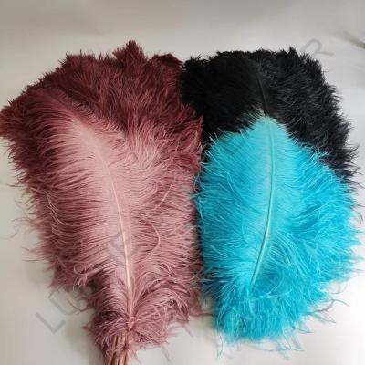 China Party/Wedding/Hot Selling Carnival Decoration/Grament 70-75cm2 Tone Big Colors Post Ostrich Wing Feather For Party Wedding Stage Dresses Stage Decoration for sale