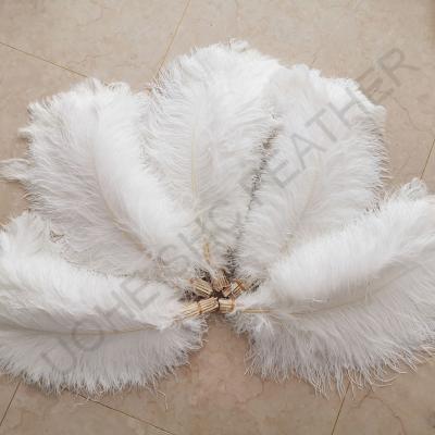 China Cheap party/wedding/sale 28-30 inch white and colorful fluffy feathers carnival decoration/ostrich gram for party wedding stage dresses stage decoration for sale