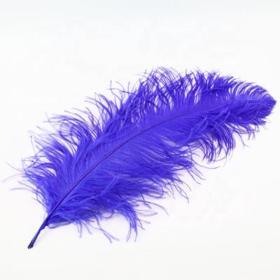 China Pena the Ostrich Feather 26-28inch Large Carnival Samba Festival Costume Ostrich Feather Plumas Wedding for sale