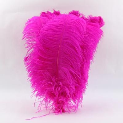 China Cheap party/wedding/sale 26-28 inch white and colorful feather carnival decoration/large ostrich pole gram for party wedding stage dresses decoration for sale