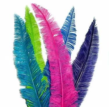 China Ostrich Feather 24-26inch Customized Nandu Trimmed Ostrich Feather for sale