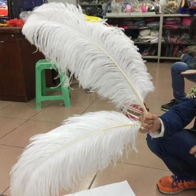 China Hot sale party/wedding/sale pole ostrich wing colorful feather 75-80cm carnival decoration/gray big for party wedding stage dresses stage decoration for sale