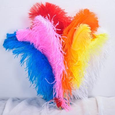 China Party/wedding/white carnival/grament decoration large and colorful 60-65 cm tall natural post ostrich feather feathers for sale