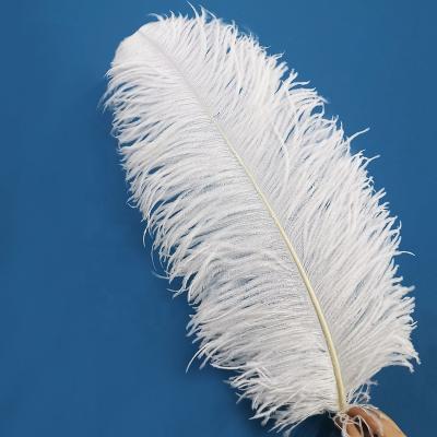 China Hot Sale Party/Wedding/Sale Pole Ostrich Wing Colorful Feather 55-60cm Carnival Decoration/Grament Large For Party Wedding Stage Dress Up Decoration for sale