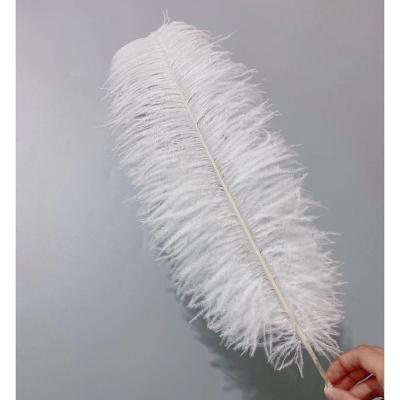 China Hot sale party/wedding/colorful ostrich dull feather 55-60cm carnival/grament decoration for party wedding stage dresses decoration for sale