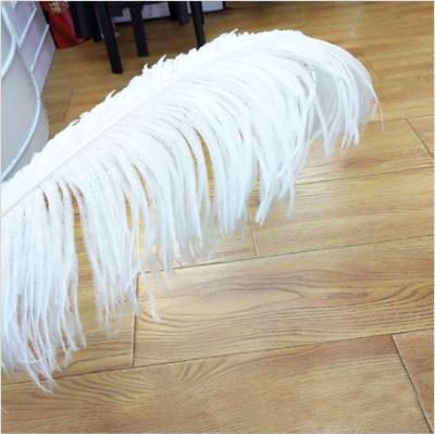 China Multicolor Smooth Fluffy Ostrich Feather 15-80cm Large Cheap Ostrich Feathers White Ostrich Feather Trim Fabric for sale