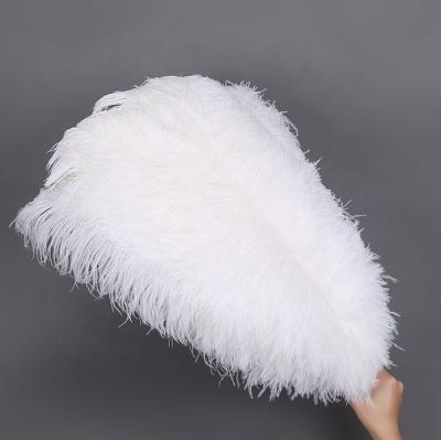 China Hot sale party/wedding/colorful ostrich dull feather 50-55cm carnival/grament decoration for party wedding stage dresses decoration for sale