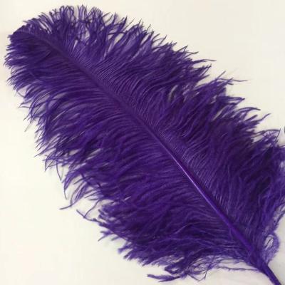 China Cheap Colorful Party/Wedding/Sale Pole Ostrich Wing Feather 50-55cm Carnival Decoration/Grament Large For Party Wedding Stage Dress Up Decoration for sale