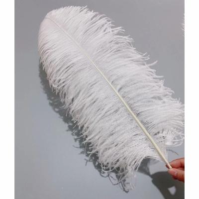 China Hot Sale Party/Wedding/Sale Pole Ostrich Wing Colorful Feather 45-50cm Carnival Decoration/Grament Large For Party Wedding Stage Dress Up Decoration for sale