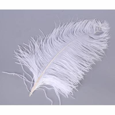 China Hot sale party/wedding/post pole ostrich wing colorful feather 40-45cm carnival decoration/grament big for party wedding dresses decoration for sale