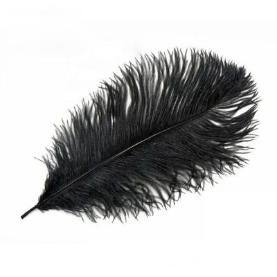 China Home decoration adorn decorative craft plumas avestruz 30-35 cm band bulk feather wholesale cheap carnival ostrich hats for sale