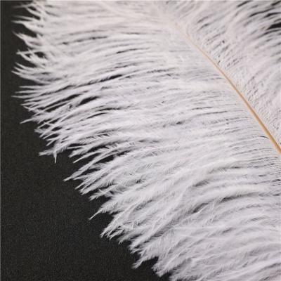 China Home Decoration Adorn Wholesale Cheap Colorful Environmentally Friendly Colorful Ostrich Feather Carnival Decoration Ostrich Feathers Band Hats 30-35 cm for sale