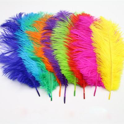 China Home Decoration Adorn Wholesale Cheap White And Dyed Carnival Decoration Feathers Ostrich Band Hats 30-35cm for sale