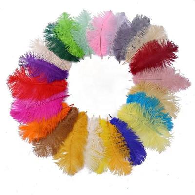 China Wholesale Ostrich Feather 8-10inch 20-25cm Wall Centerpiece Decoration Ostrich Feather Wall For Wedding Party Photography Background December for sale