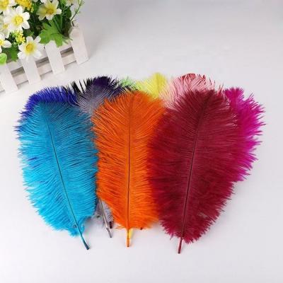 China Party/wedding/party and wedding supply white carnival decoration/grament and dyed wholesale bulk colors 20-25cm ostrich feathers on sale cheap for sale