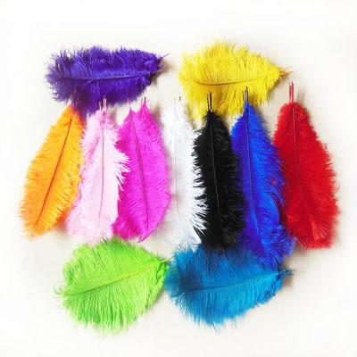 China Decorations 8-10 Inch (20-25cm) Assorted Colors Carnival Costume Dyed Ostrich Feather For Headdress for sale