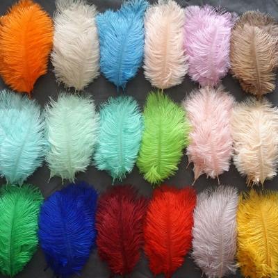 China Cheap party/wedding/sale 6-8 inch colorful ostrich feather carnival/grament decoration in stock for party wedding dresses decoration for sale